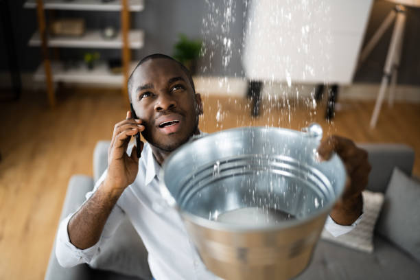 Carpet water damage restoration in Cliffside Park, NJ