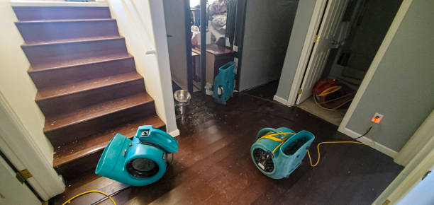Best Water damage restoration near me  in Cliffside Park, NJ