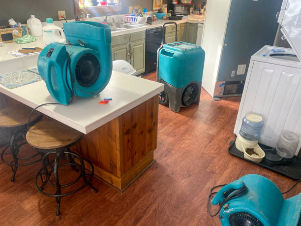 Best Flooded house restoration  in Cliffside Park, NJ