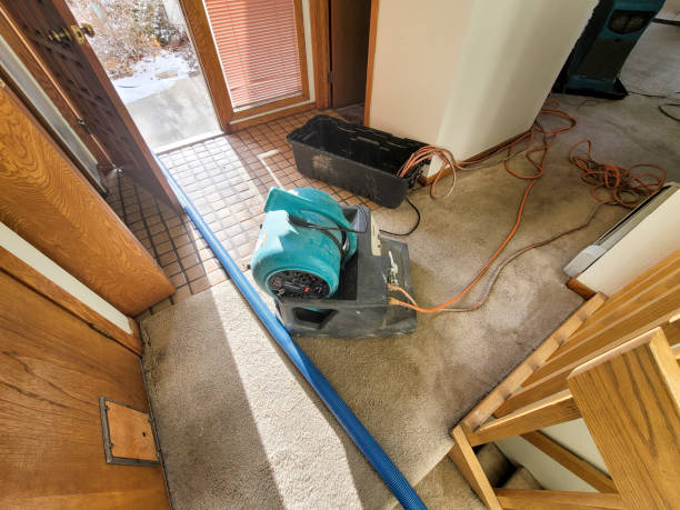 Best Water damage restoration near me  in Cliffside Park, NJ