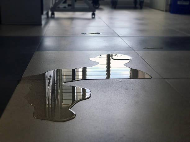 Best Professional water damage repair  in Cliffside Park, NJ