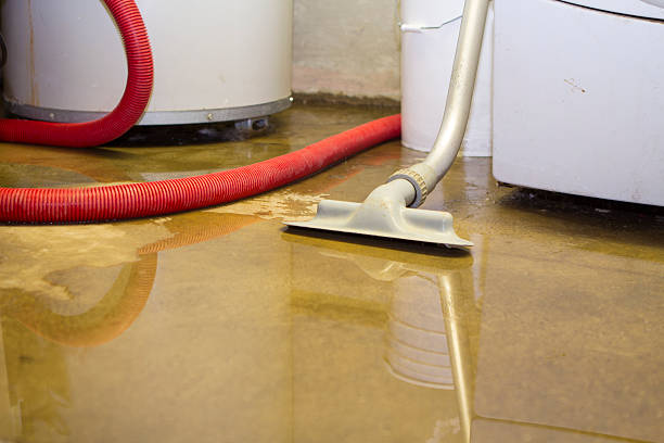 Best Water damage restoration services  in Cliffside Park, NJ
