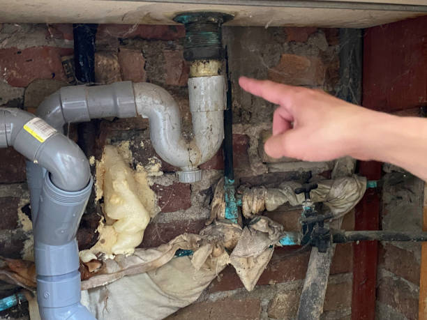 Best Water damage cleanup near me  in Cliffside Park, NJ