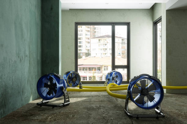 Best Flood restoration services  in Cliffside Park, NJ
