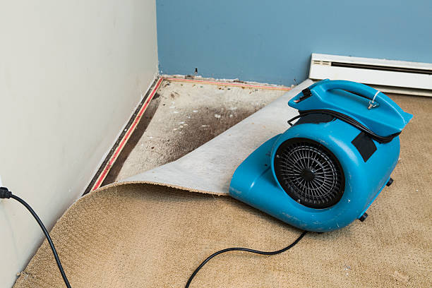 Best 24-hour water damage restoration  in Cliffside Park, NJ